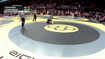 D1-113 lbs Champ. Round 1 - Gavin Gruber, Walsh Jesuit vs Connor Niehaus, Harrison