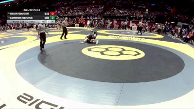 D1-113 lbs Champ. Round 1 - Gavin Gruber, Walsh Jesuit vs Connor Niehaus, Harrison