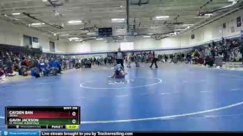 113 lbs Cons. Round 4 - Cayden Ban, Anoka vs Gavin Jackson, St. Michael-Albertville