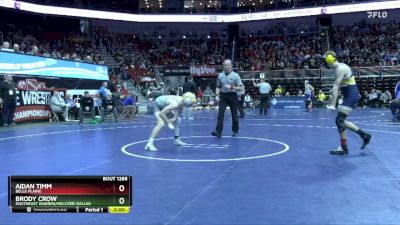 1A-138 lbs Cons. Round 2 - Aidan Timm, Belle Plaine vs Brody Crow, Southeast Warren/Melcher-Dallas