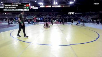 215 lbs 3rd Place Match - McGregor Miller, Madison vs Liam Rodebush, Caldwell