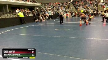 100 lbs Cons. Round 2 - Braden Anderson, Siouxland Wrestling Academy vs Tate Abbott, Big Red Wrestling