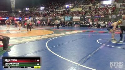 A - 170 lbs Quarterfinal - Deegan Tvedt, Custer Co. (Miles City) vs Beau Mares, Laurel