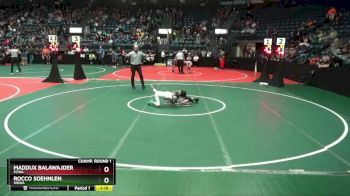 65 lbs Champ. Round 1 - Rocco Soehnlen, WEWA vs Maddux Balawajder, PCWA