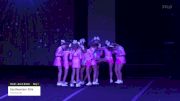 Southeastern Elite - Pink Warriors [2025 Youth--Div 2-Small Day 1] 2025 All Out Grand Nationals
