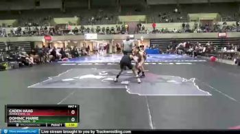 113 lbs Round 2 (4 Team) - Caden Haag, Dover Eyota vs Dominic Marre, Glenbard North