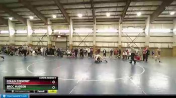 141 lbs Champ. Round 1 - Collin Stewart, Mountain Ridge vs Broc Madsen, Mountain View