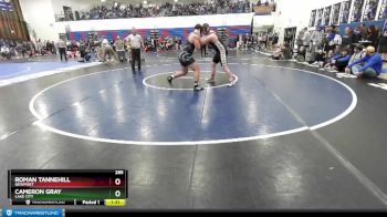 285 lbs Quarterfinal - Roman Tannehill, Newport vs Cameron Gray, Lake City