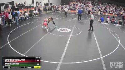 3A 113 lbs Semifinal - Cooper Strickland, Belton-Honea Path vs Tayriq Legree, Beaufort