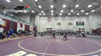 120 lbs Quarterfinal - Saylor Wendell, Elko vs Alliyah Green, Vallivue