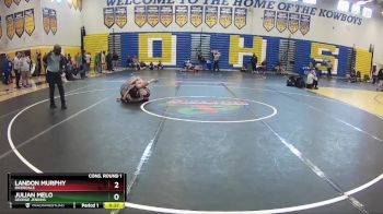 138 lbs Cons. Round 1 - Landon Murphy, Riverdale vs Julian Melo, George Jenkins