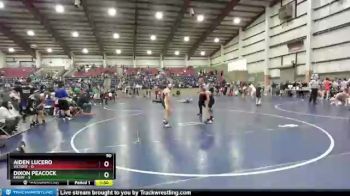90 lbs Semis & Wb (16 Team) - Dixon Peacock, Emery vs Aiden Lucero, Victory
