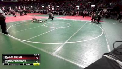 90 lbs Semifinal - Bradley Bauman, KAWA vs Andrew Mlynarczyk, WSW1