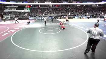 II-138 lbs Quarterfinal - Landyn Shaffer, Deposit/Hancock vs Daltton Davis, Waverly