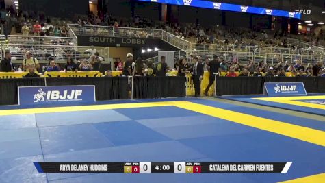 Arya Delaney Hudgins vs Cataleya Del Carmen Fuentes 2025 Pan Kids Jiu-Jitsu IBJJF Championship