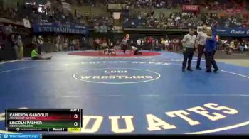 5th Place Match - Lincoln Palmer, North Vermillion vs Cameron Gandolfi, Archbishop Rummel