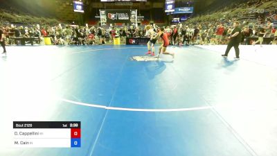 165 lbs Cons 64 #2 - Damiano Cappellini, WI vs Michael Cain, IN