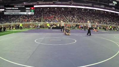 D2-132 lbs Cons. Round 1 - Connor Stankov, Fowlerville HS vs Aaron Wilson, Avondale HS