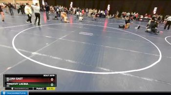 182 lbs Cons. Round 3 - Elijah Gast, WI vs Timothy Lacina, MN