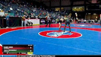 6A-215 lbs Quarterfinal - Tayo Ogundele, Sequoyah vs Gabe Gibbs, Veteran`s