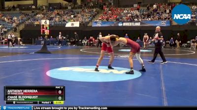 165 lbs Cons. Round 2 - Anthony Herrera, St. Cloud State vs Chase Bloomquist, Northern State