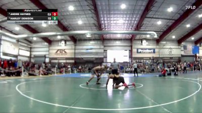 165 lbs Quarterfinal - Andre Haynes, Clark vs Harley Denison, Fernley