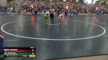 100 lbs Quarterfinal - Ian McCallie, Minion Training Center vs David Johnson, TCWC