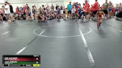 44 lbs Round 3 (4 Team) - Leo Alojado, Buffalo Valley WC vs Liam Diodati, CTWHALE