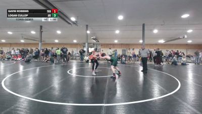 171 lbs Consolation - Gavin Robbins, Tioga vs Logan Cullop, Ave