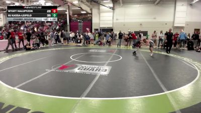 86 lbs Champ. Round 3 - Wyatt Haluptzok, Anoka Youth Wrestling vs RJ Kassa-leifeld, Summit Wrestling Academy