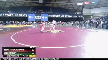 143 lbs Cons. Round 3 - Freya Schwabenbauer, Ascend Wrestling Academy vs Chloe Gandy, Ferndale Force Wrestling Club