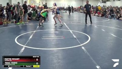 92 lbs Quarterfinal - Mattie Mckart, Dundee WC vs Tessa Vining, Hudsonville WC