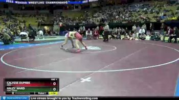 159 lbs 1st Place Match - Haley Ward, Fort Osage vs Calyese Dupree, Nixa