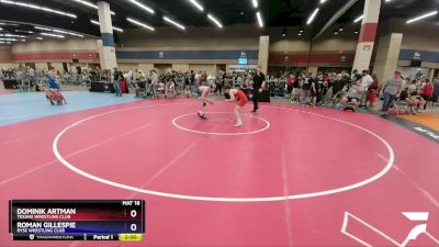 132 lbs Cons. Round 3 - Dominik Artman, Texans Wrestling Club vs Roman Gillespie, Ryse Wrestling Club