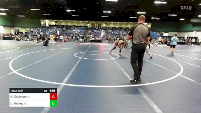 132 lbs Round Of 32 - Adrian DeJesus, NJ vs Liam Hickey, NC