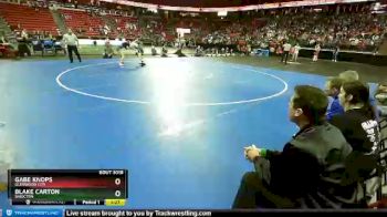 D3-132 lbs Champ. Round 1 - Gabe Knops, Glenwood City vs Blake Carton, Shiocton