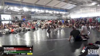 45 lbs Round 8 (10 Team) - Oakley Culver, Piedmont WC vs Eli Sullivan, Violent Little Machines