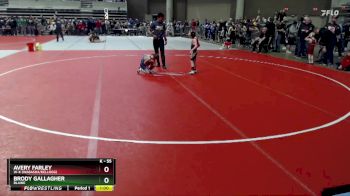 55 lbs 3rd Place Match - Avery Farley, W-K (Wabasha/Kellogg) vs Brody Gallagher, Blaine