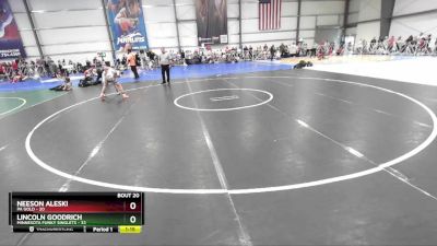 100 lbs Rd# 8- 12:30pm Saturday Final Pool - Lincoln Goodrich, Minnesota Funky Singlets vs Neeson Aleski, PA Gold