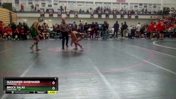 132 lbs Semis & 3rd Wb (16 Team) - Alexander Shoemaker, Alexander vs Brock Salas, Creekview