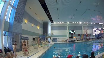 Replay: Diving - 2024 GLIAC Swimming & Diving Championships | Feb 9 @ 10 AM