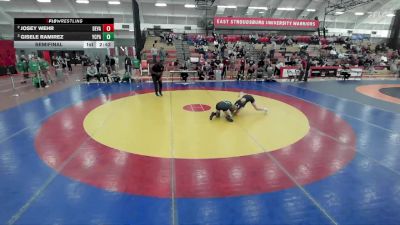 117 lbs Semifinal - Gisele Ramirez, York vs Josey Wehr, Delaware Valley