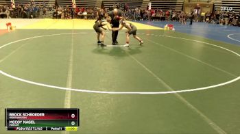 105 lbs Semifinal - Brock Schroeder, Worthington vs McCoy Nagel, Perham