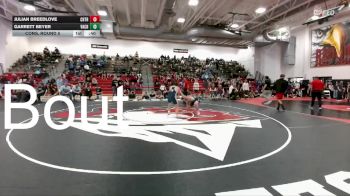 190 lbs Cons. Round 5 - Julian Breedlove, Cherokee Trail vs Garrett Beyer, Valor Christian