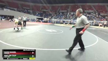 6A-126 lbs 3rd Place Match - Maclain Culp, West Linn vs Gavin Rangel, Newberg