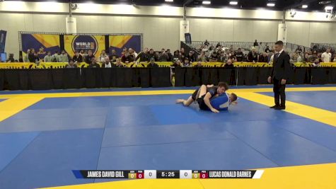 Lucas Donald Barnes vs James David Gill 2024 World IBJJF Jiu-Jitsu No-Gi Championship