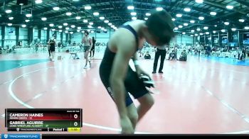115 lbs Rd# 10- 4:00pm Saturday Final Pool - Cameron Haines, Minion Green vs Gabriel Aguirre, Lions Wrestling Academy