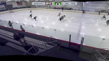 Replay: Home - 2024 Comets vs SS Kings | Feb 3 @ 6 PM