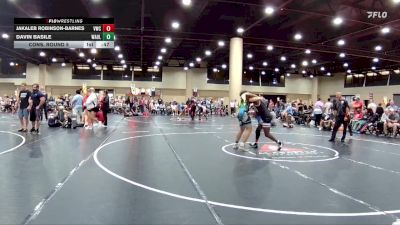 190 lbs Cons. Round 5 - Jakaleb Robinson-Barnes, Valhalla Wrestling Club vs Davin Basile, Wrestling Academy Of Louisiana