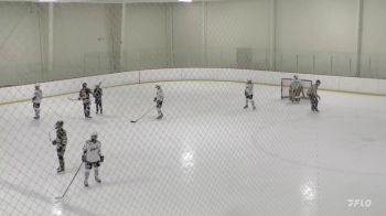 Replay: Home - 2025 Avalanche U14 vs Niagara U14 | Feb 2 @ 7 AM